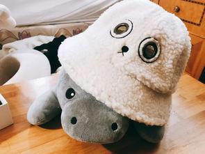 海豹变成人的视频,海豹奇遇记，揭秘海洋生物的奇幻蜕变