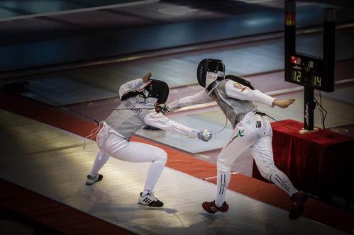 成人击剑技巧视频大全集,成人击剑技巧视频大全集精华解析