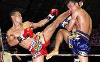 成人搏击护腿怎么做视频