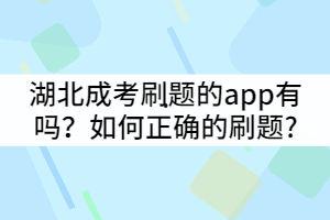 成人高考刷题视频,高效提升应试技巧