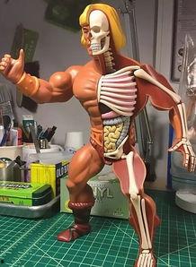 简单皮筋成人玩具视频,简单成人玩具视频教程解析