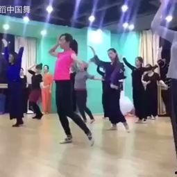 舞蹈成人零基础视频学习,舞蹈入门者的成长之旅